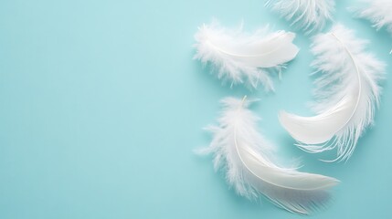 Obraz premium White Feathers Against A Light Blue Background