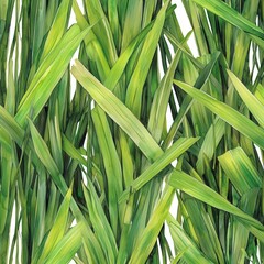 Fototapeta premium Lush Green Grass Blades Watercolor Pattern