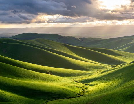 rolling green hills bathed in sunlight with a dramatic sky above clouds casting shadows on the grassy landscape