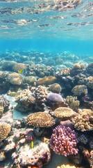 Sunlight filtering through rippling water illuminates a vibrant coral reef ecosystem, showcasing diverse coral formations and colorful fish navigating the underwater landscape