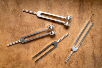 Set of weighted and unweighted metal tuning forks used for tuning musical instruments, sound...