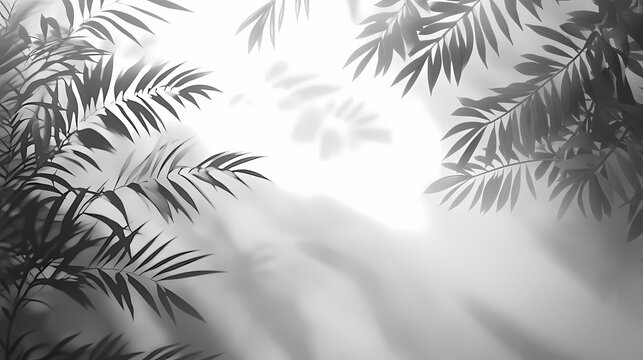 Shadow from window, overlay effect. realistic gray shadow on transparent background, png. applicable for product presentation, photos, backdrop. sun light, rays. 3d render. Shadowfern. Illustration