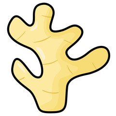 illustration of ginger 