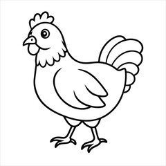 hen and chicken with white background