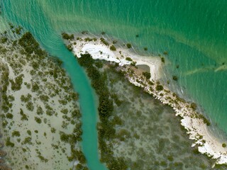 High-angle view of a tranquil mangrove channel. Emerald green water flows through lush vegetation. Coastal ecosystem. , WAITAMATA HARBOUR, AUCKLAND, NEW ZEALAND
