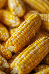 Zoomed-in View of Fresh Yellow Kernel Corn Highlighting the Vibrant, Glossy Texture and Abundance in Agriculture.