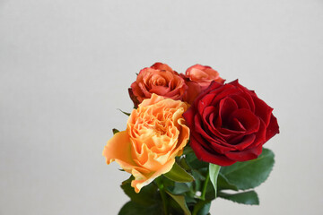 赤とオレンジ色のばら