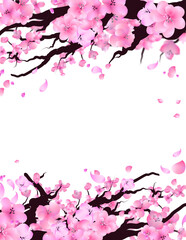 Naklejka premium Sakura frame background, Cherry blossom tree border, Spring flowers petals falling illustration.