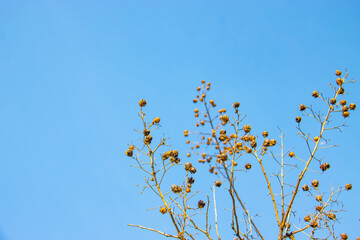 Factory, old equipment, gas filtration, technological design materials