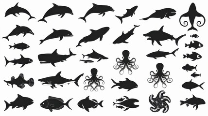 Marine Magic: 20 Silhouette Collection