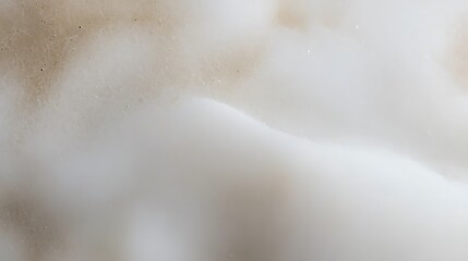 Abstract White And Brown Texture Background Image