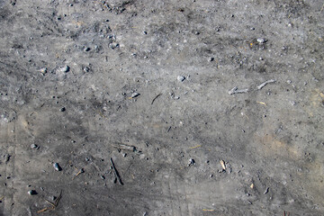 Ashes, burnt lawns, firefighting, natural disasters, wildfires, texture and texture
