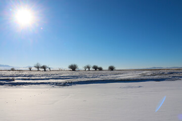 A snowy field with trees in the distance