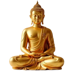  golden buddha statue © ArpitaDatta