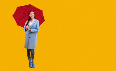 Stylish Accessories. Cheerful lady posing with yellow parasol and looking at camera, isolated on...