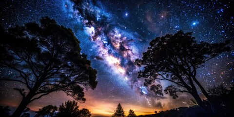 Starry Night Sky Silhouette Trees Photography - Dark Night Celestial Landscape