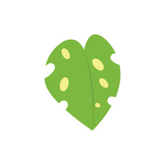Monstera leaf illustration