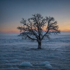 Leonardo_Kino_XL_A_serene_icy_tundra_with_a_single_tree_silhou_0
