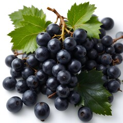 Fototapeta premium black grapes fresh fruit and white background 