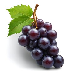 Fototapeta premium black grapes fresh fruit and white background 