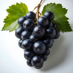 Fototapeta premium black grapes fresh fruit and white background 