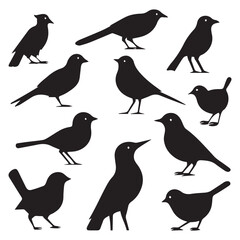 Set of black bird vector icon silhouettes colection