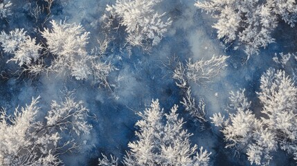 Above view of a frozen forest, intricate snow-dusted branches and thawing clearings creating natural patterns.