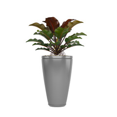 Free PNG 3d illustration of Philodendron-Rojo-Congo-4 plant frontal isolated transparent background perfectly cutout high resolution