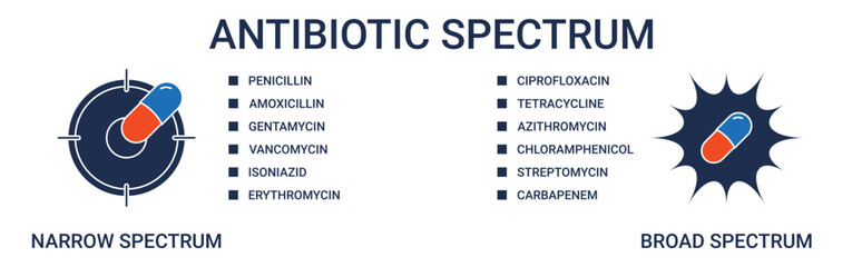 Antibiotic Spectrum Banner with broad and narrow spectrum icon concept illustration