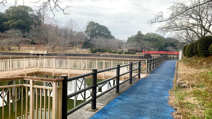Fototapeta premium 冬の甘木公園