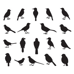 Set of black bird vector icon silhouettes colection