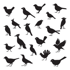 Set of black bird vector icon silhouettes colection