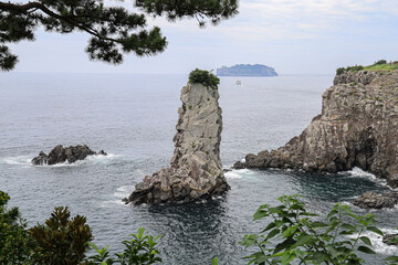 바다와 절벽이 어우러진 풍경 제주 서귀포시 서홍동 외돌개