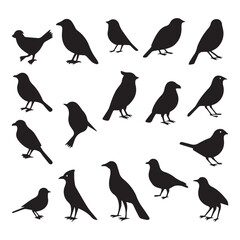 Set of black bird vector icon silhouettes colection