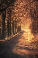 A beautiful path lined with cherry blossom trees, bathed in the golden glow of sunset, with a dreamy, romantic style