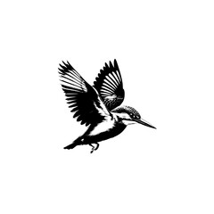 Obraz premium flying silhouette, kingfisher
