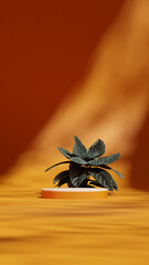 rendering 3d template mockup orange color curved cylinder podium in portrait minimal scene