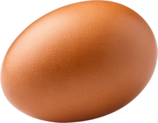 Close up of a single brown chicken egg isolated transparent background