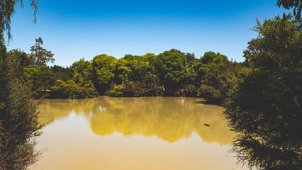 Thermal activity lakes steam bubbles rotorua new zealand gas mud pots © Antonina