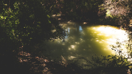Thermal activity lakes steam bubbles rotorua new zealand gas mud pots