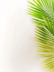 Fototapeta premium Vibrant green palm leaves gracefully frame a soft white background creating a serene minimalist aesthetic.. AI Generated