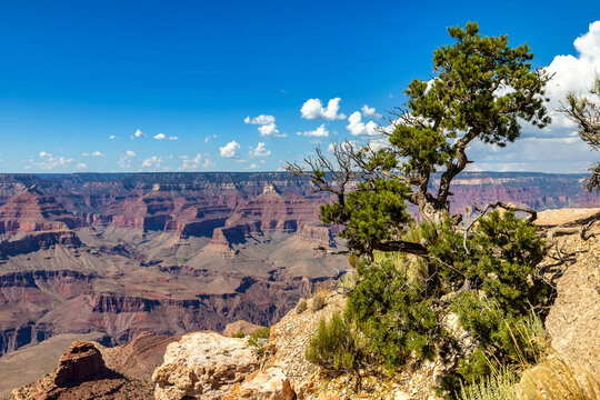Grand Canyon National Park