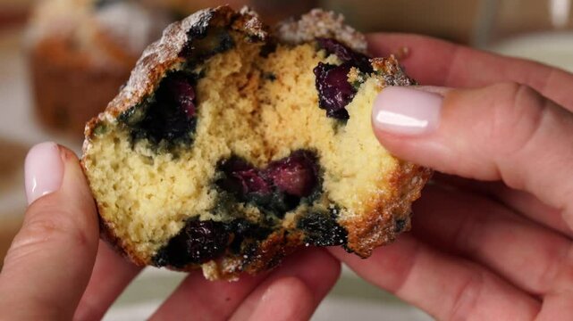 A CloseUp View of Hands crushing a blueberry muffin showing a texture