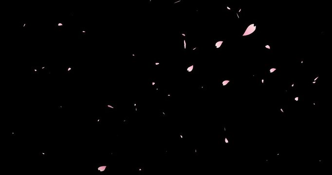 falling cherry-blossoms backgrounds(transparent background/endless loop)	