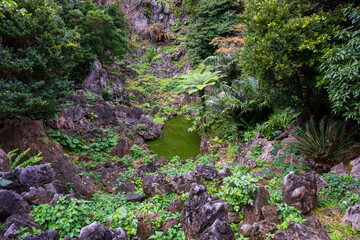 日本の沖縄県国頭村の大石林山の美しい風景