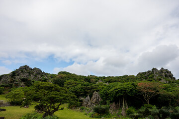 日本の沖縄県国頭村の大石林山の美しい風景