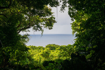 日本の沖縄県国頭村の大石林山の美しい風景