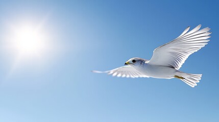 Fototapeta premium White bird gracefully soars sunlit blue sky. AI Generated