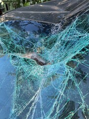 An Intricate Close Up View of Cracked Glass Featuring a Unique Spiderweb Pattern Design