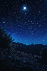 Night Star Shines Brightly